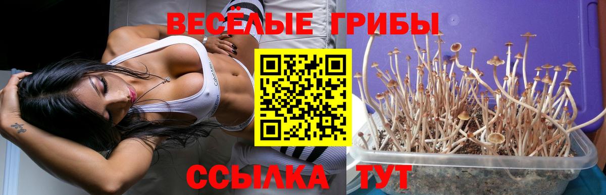 Галлюциногенные грибы мухоморы  Вход с VPN  Богородицк  Псилоцибиновые грибы мухоморы 